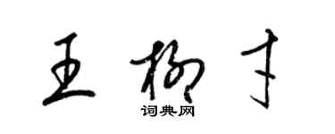 梁錦英王柳才草書個性簽名怎么寫