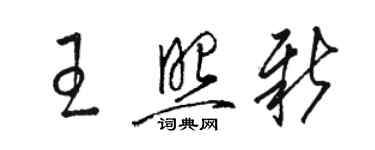 駱恆光王照新草書個性簽名怎么寫