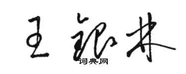 駱恆光王銀林草書個性簽名怎么寫