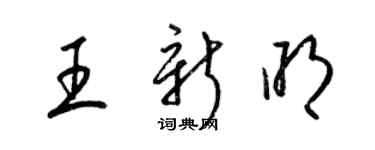 梁錦英王新明草書個性簽名怎么寫