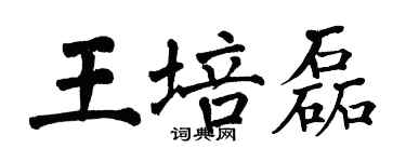 翁闓運王培磊楷書個性簽名怎么寫