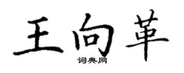 丁謙王向革楷書個性簽名怎么寫