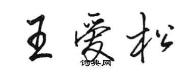 駱恆光王愛松行書個性簽名怎么寫