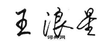 駱恆光王浪星行書個性簽名怎么寫