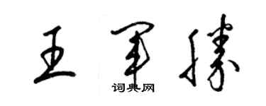 梁錦英王軍勝草書個性簽名怎么寫