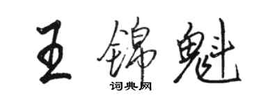 駱恆光王錦魁行書個性簽名怎么寫