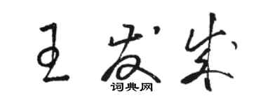 駱恆光王發成草書個性簽名怎么寫