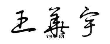 曾慶福王華宇草書個性簽名怎么寫