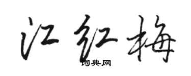 駱恆光江紅梅行書個性簽名怎么寫