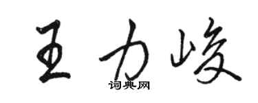 駱恆光王力峻行書個性簽名怎么寫