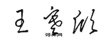 駱恆光王寒欣草書個性簽名怎么寫