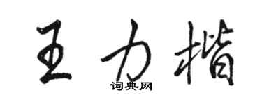 駱恆光王力楷行書個性簽名怎么寫