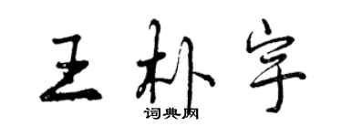 曾慶福王朴宇行書個性簽名怎么寫