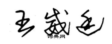 朱錫榮王威廷草書個性簽名怎么寫