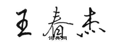 駱恆光王春傑行書個性簽名怎么寫