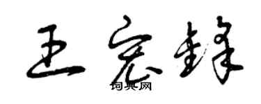 曾慶福王宏鋒草書個性簽名怎么寫