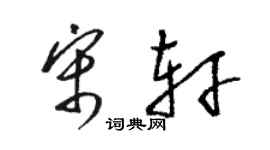 駱恆光宋軒草書個性簽名怎么寫