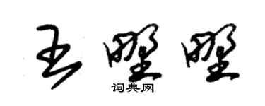 朱錫榮王野野草書個性簽名怎么寫