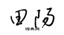 梁錦英田陽草書個性簽名怎么寫
