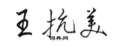 駱恆光王抗美行書個性簽名怎么寫
