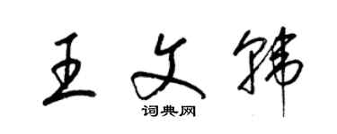 梁錦英王文韓草書個性簽名怎么寫