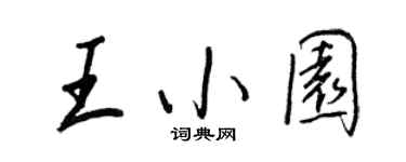 王正良王小園行書個性簽名怎么寫