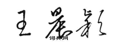 駱恆光王晨穎草書個性簽名怎么寫