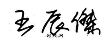 朱錫榮王辰傑草書個性簽名怎么寫