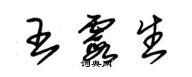 朱錫榮王霞生草書個性簽名怎么寫