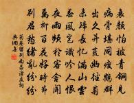 勞人又費乏,國計安能已 詩詞名句