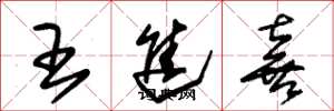 朱錫榮王進喜草書怎么寫