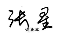 朱錫榮張星草書個性簽名怎么寫