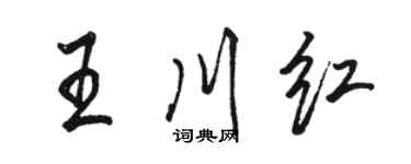 駱恆光王川紅行書個性簽名怎么寫