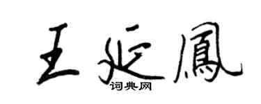 王正良王延鳳行書個性簽名怎么寫