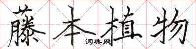 駱恆光藤本植物楷書怎么寫
