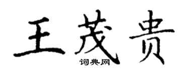 丁謙王茂貴楷書個性簽名怎么寫