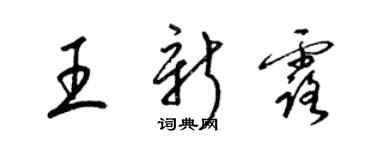 梁錦英王新露草書個性簽名怎么寫