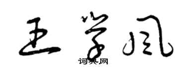 曾慶福王學風草書個性簽名怎么寫