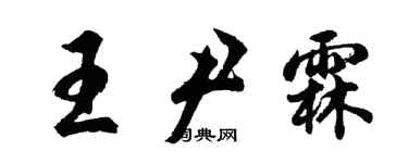 胡問遂王尹霖行書個性簽名怎么寫