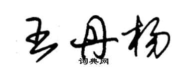 朱錫榮王丹楊草書個性簽名怎么寫