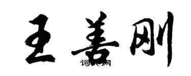 胡問遂王善剛行書個性簽名怎么寫