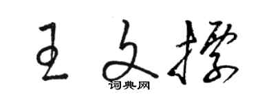 駱恆光王文標草書個性簽名怎么寫