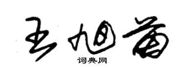 朱錫榮王旭苗草書個性簽名怎么寫