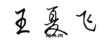 駱恆光王夏飛行書個性簽名怎么寫