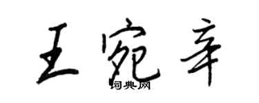 王正良王宛辛行書個性簽名怎么寫