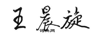 駱恆光王晨旋行書個性簽名怎么寫