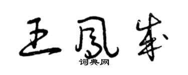 曾慶福王鳳成草書個性簽名怎么寫