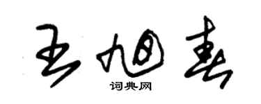 朱錫榮王旭春草書個性簽名怎么寫