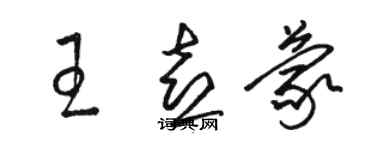 駱恆光王喜蒙草書個性簽名怎么寫