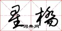朱錫榮星橋草書怎么寫